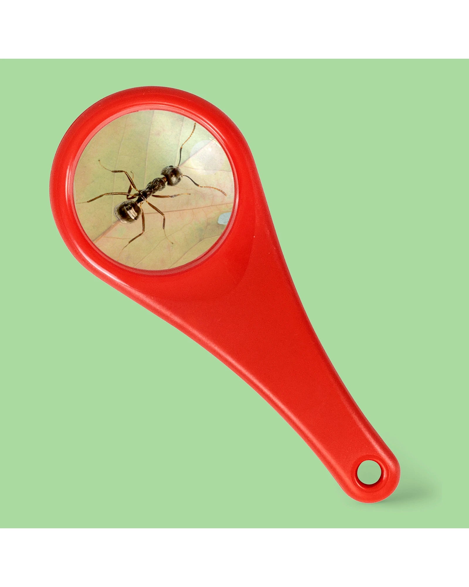 Explorer Magnifying Glass