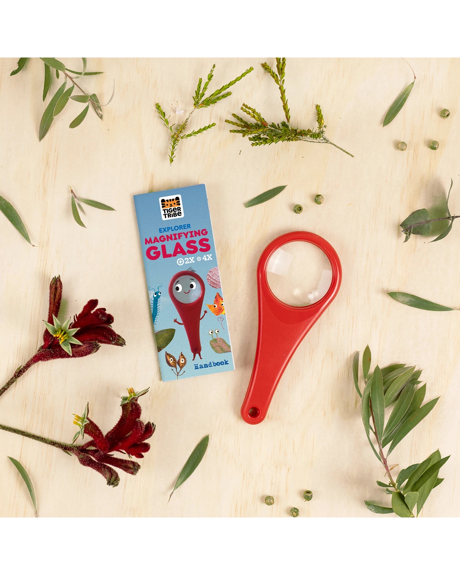 Explorer Magnifying Glass
