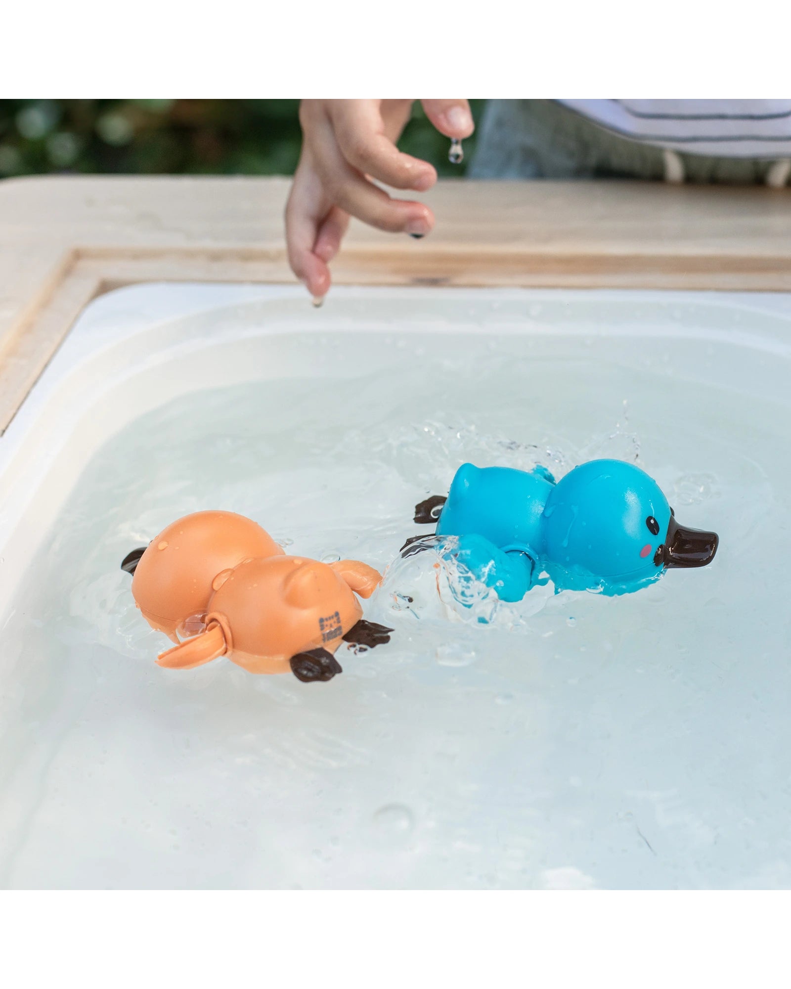 Bath Racers - Platypuses