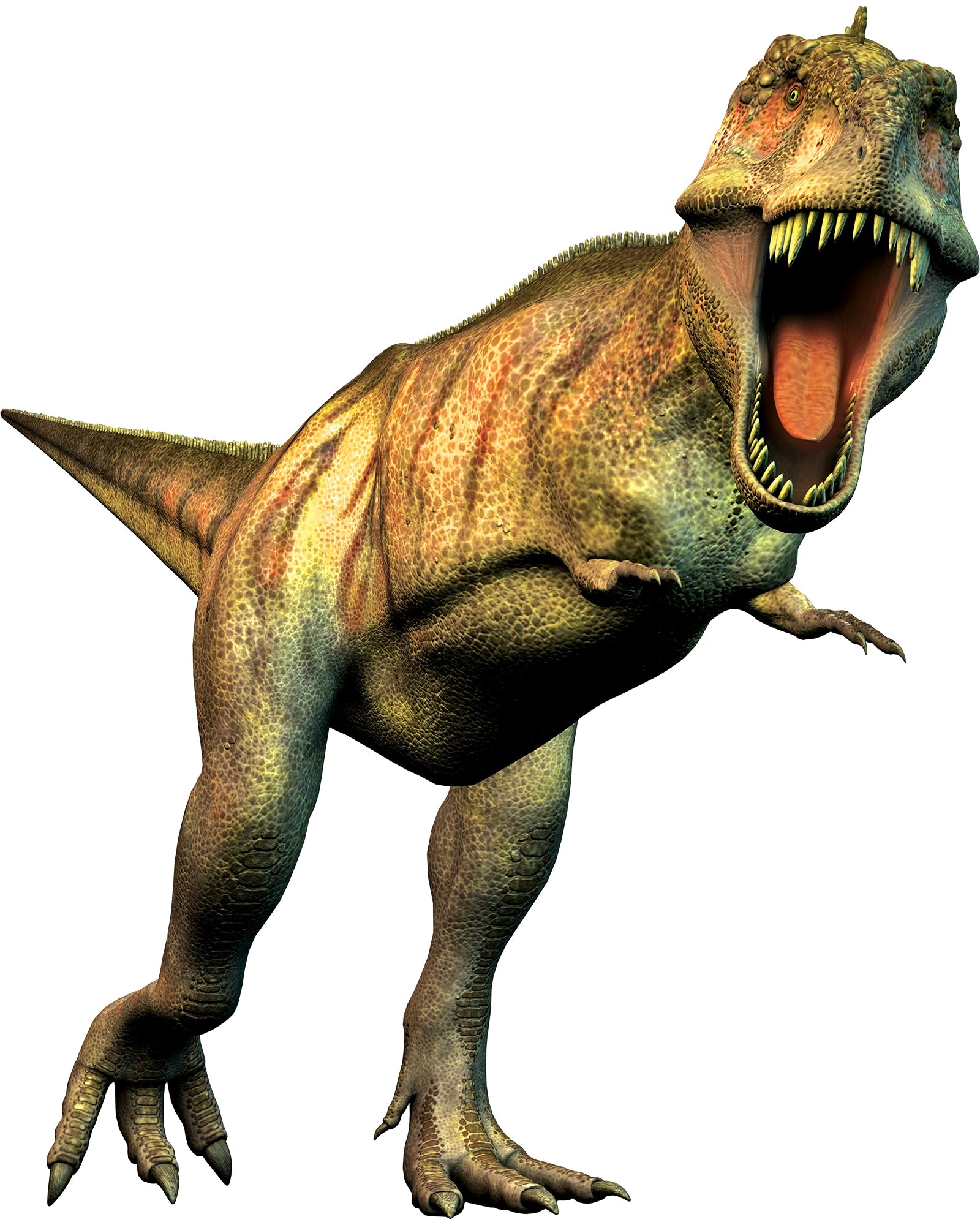 VR Gift Box Dinosaurs!