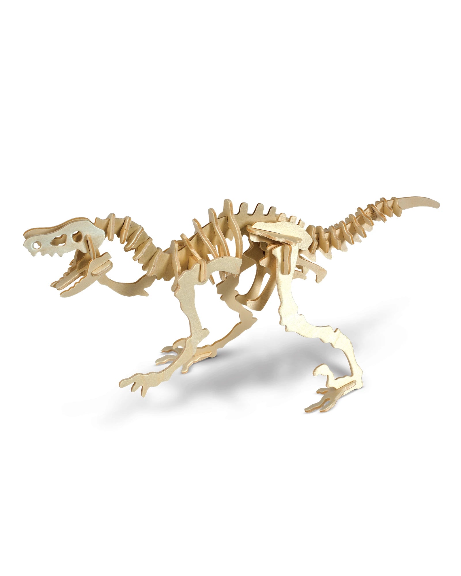 Large wooden hotsell dinosaur skeleton kits