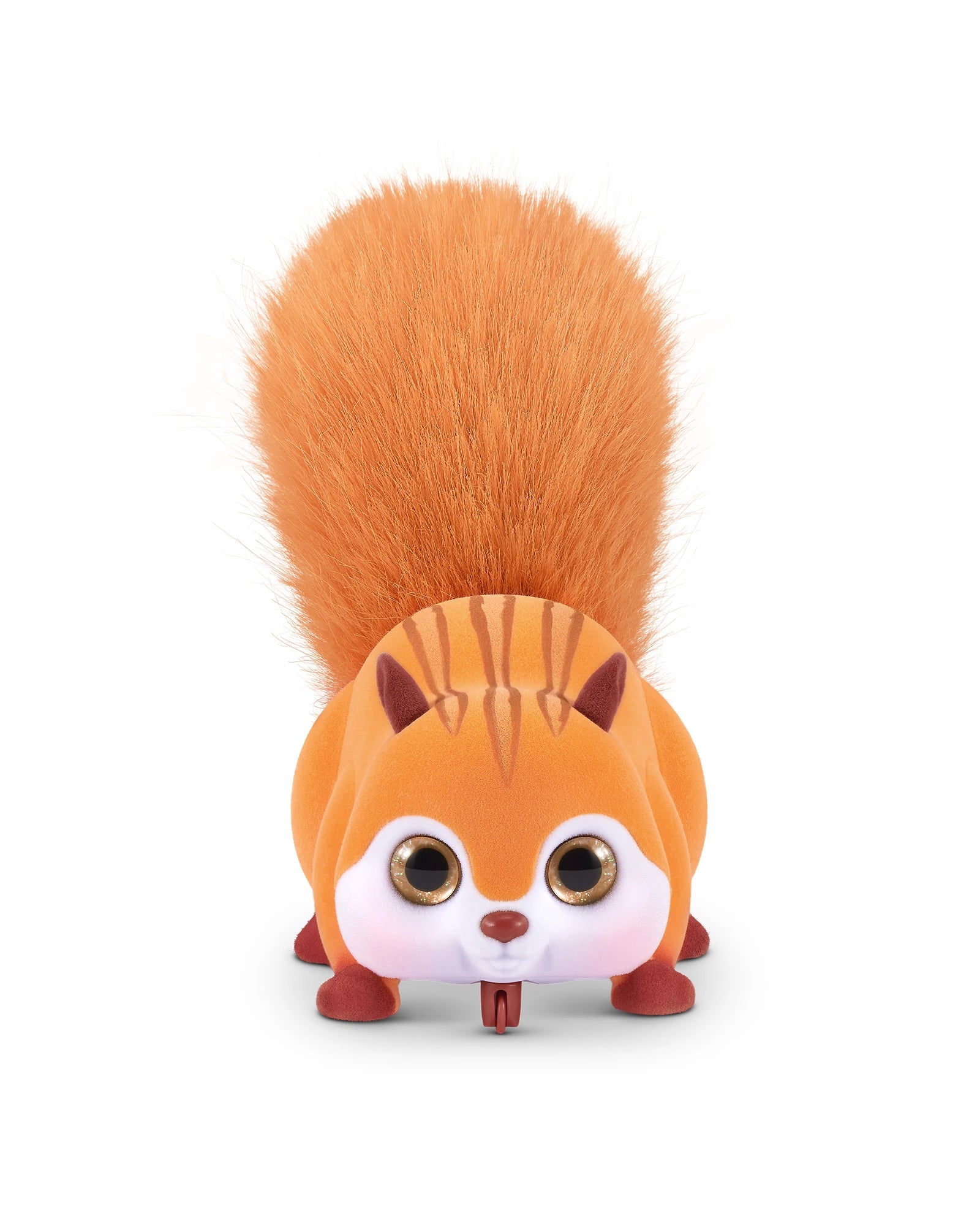 Scurry n Squirrel - Assorted