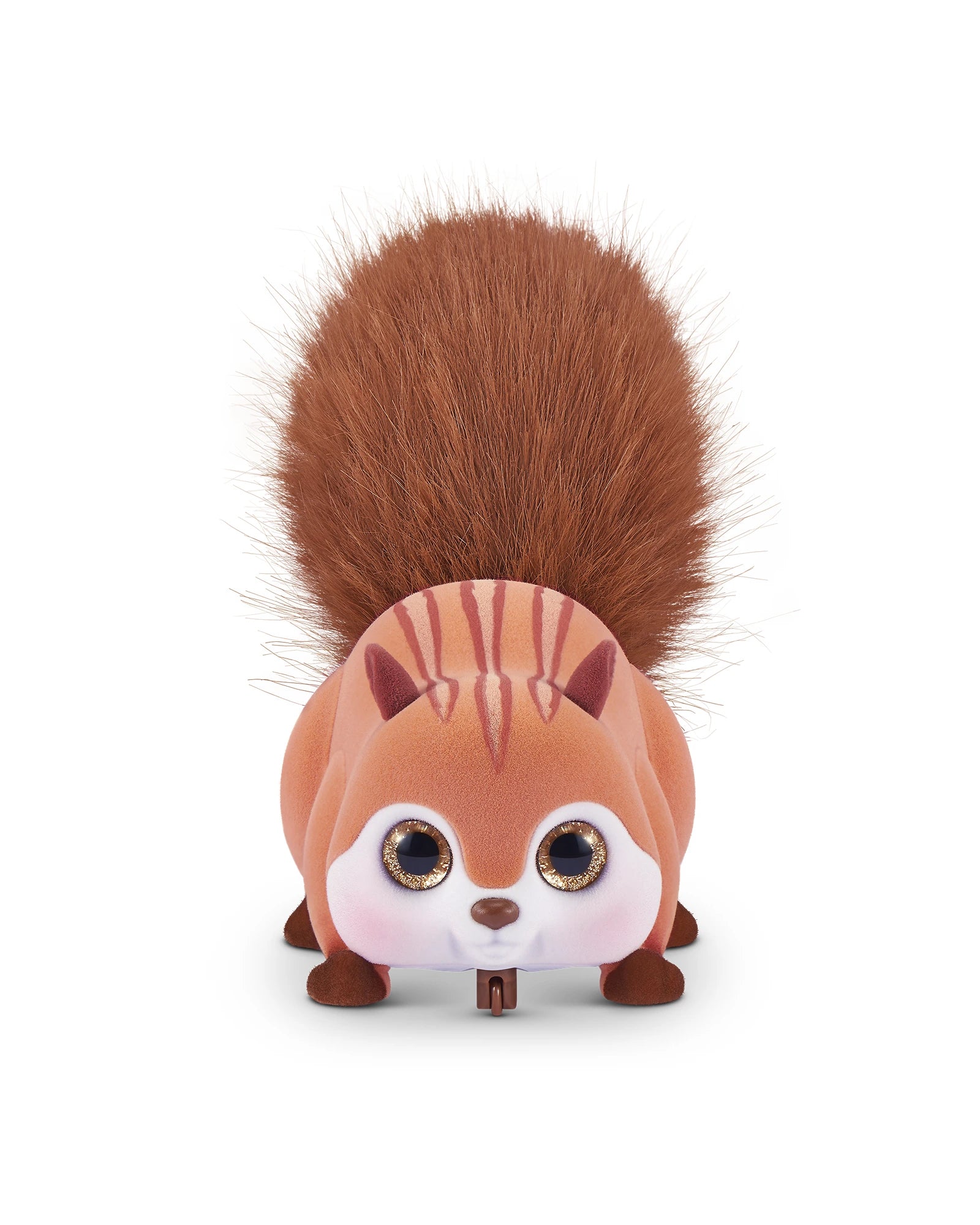 Scurry n Squirrel - Assorted