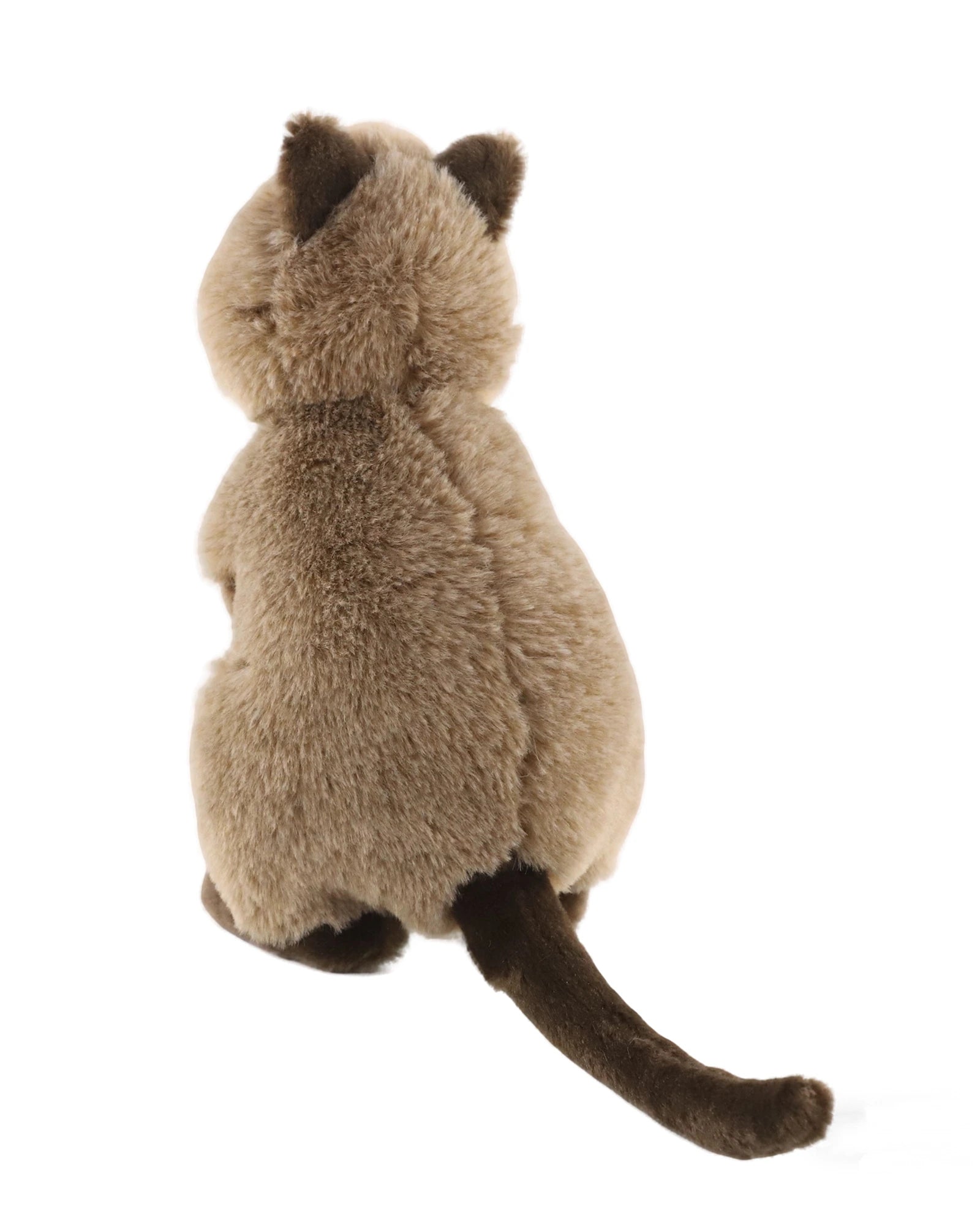 Quincey Quokka