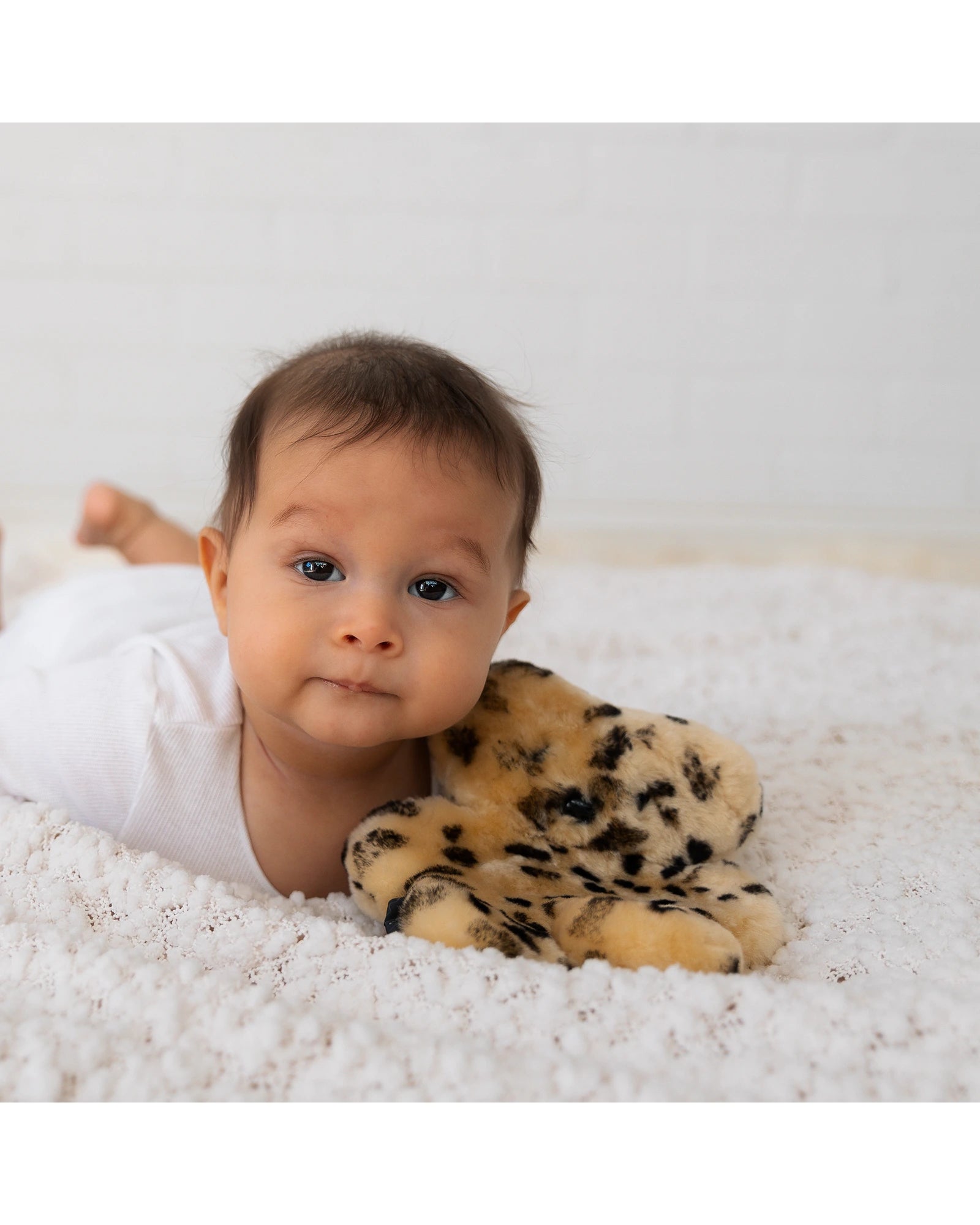 FLATOUTbear Baby Leopard