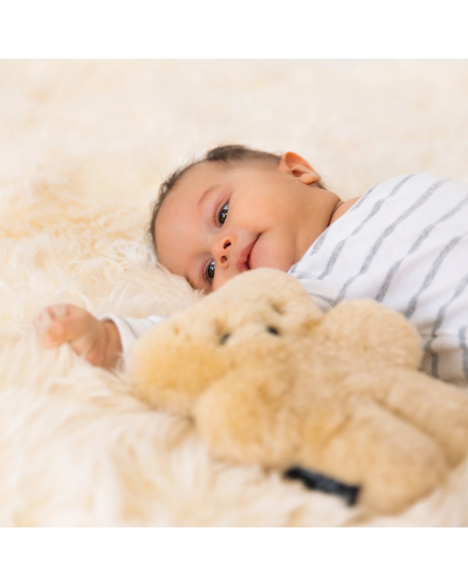 FLATOUTbear Baby Honey
