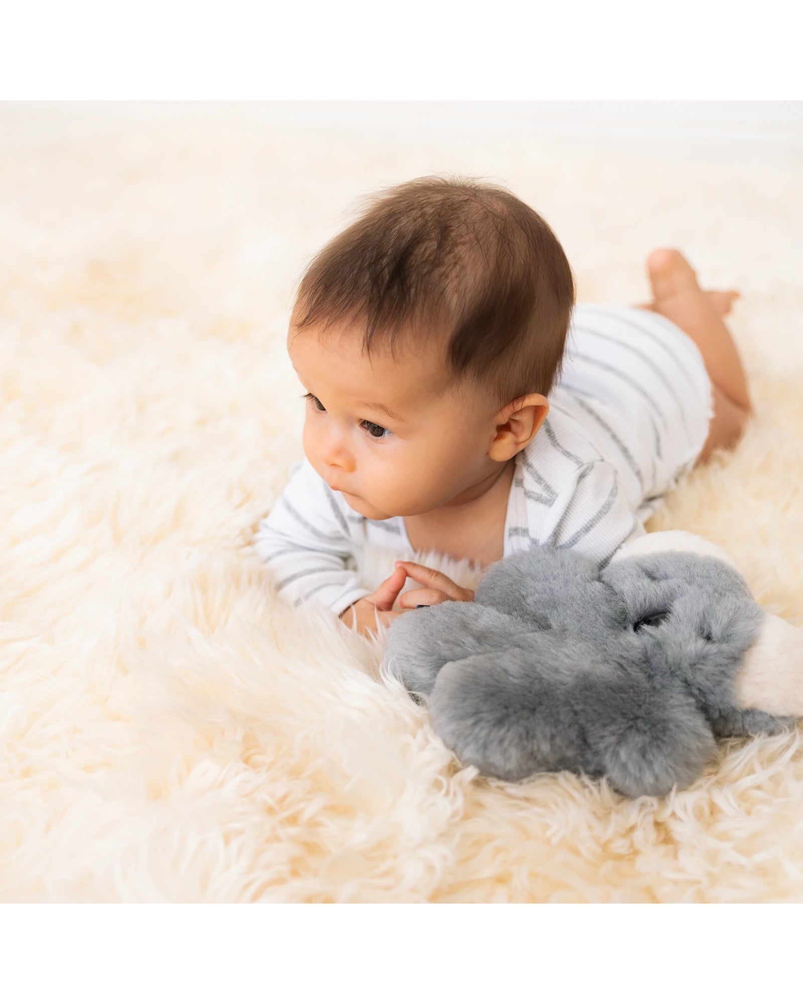 FLATOUTbear Baby Koala