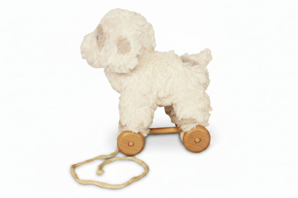 Pull Along Puppy