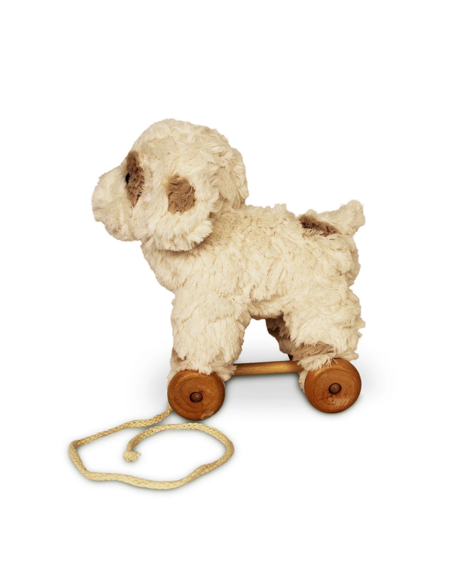 Pull Along Puppy