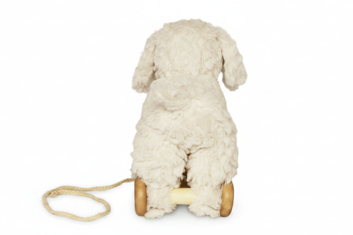 Pull Along Puppy