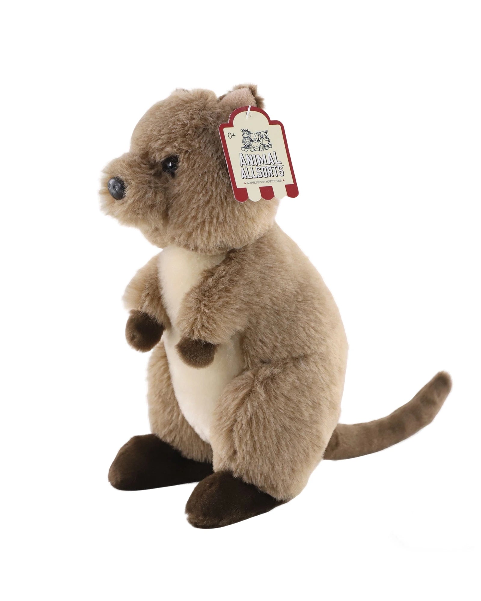 Quincey Quokka
