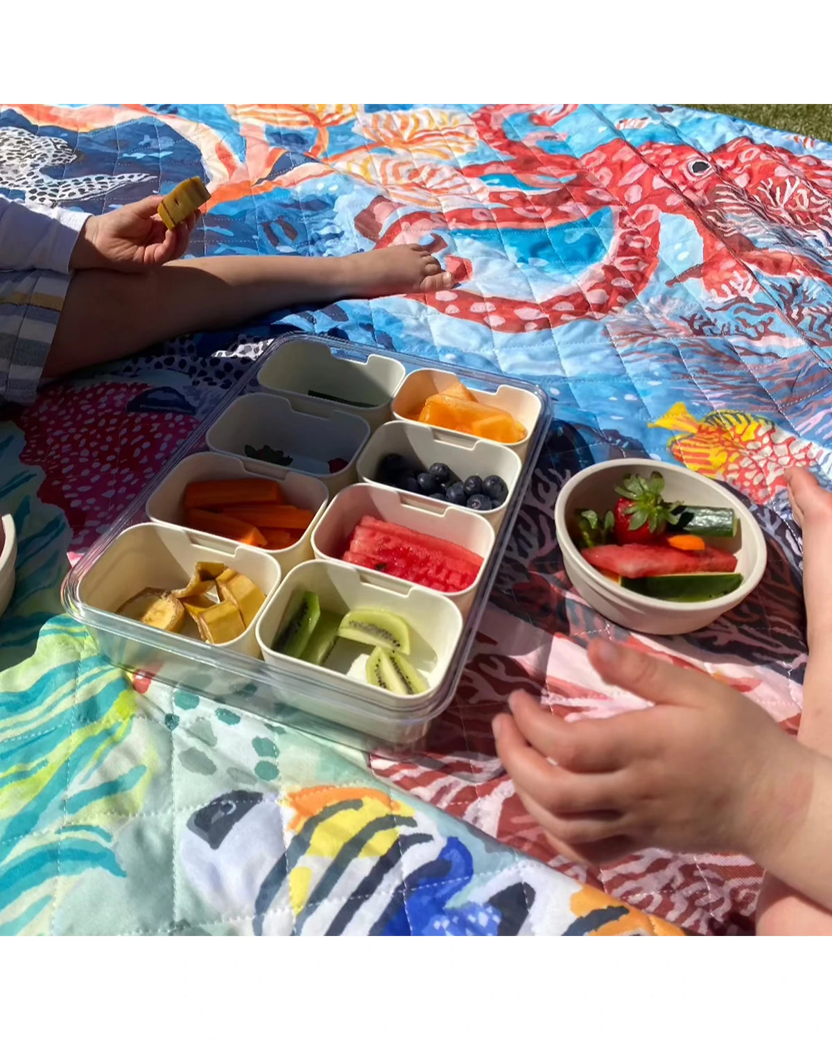 Octopus's Garden Picnic Rug