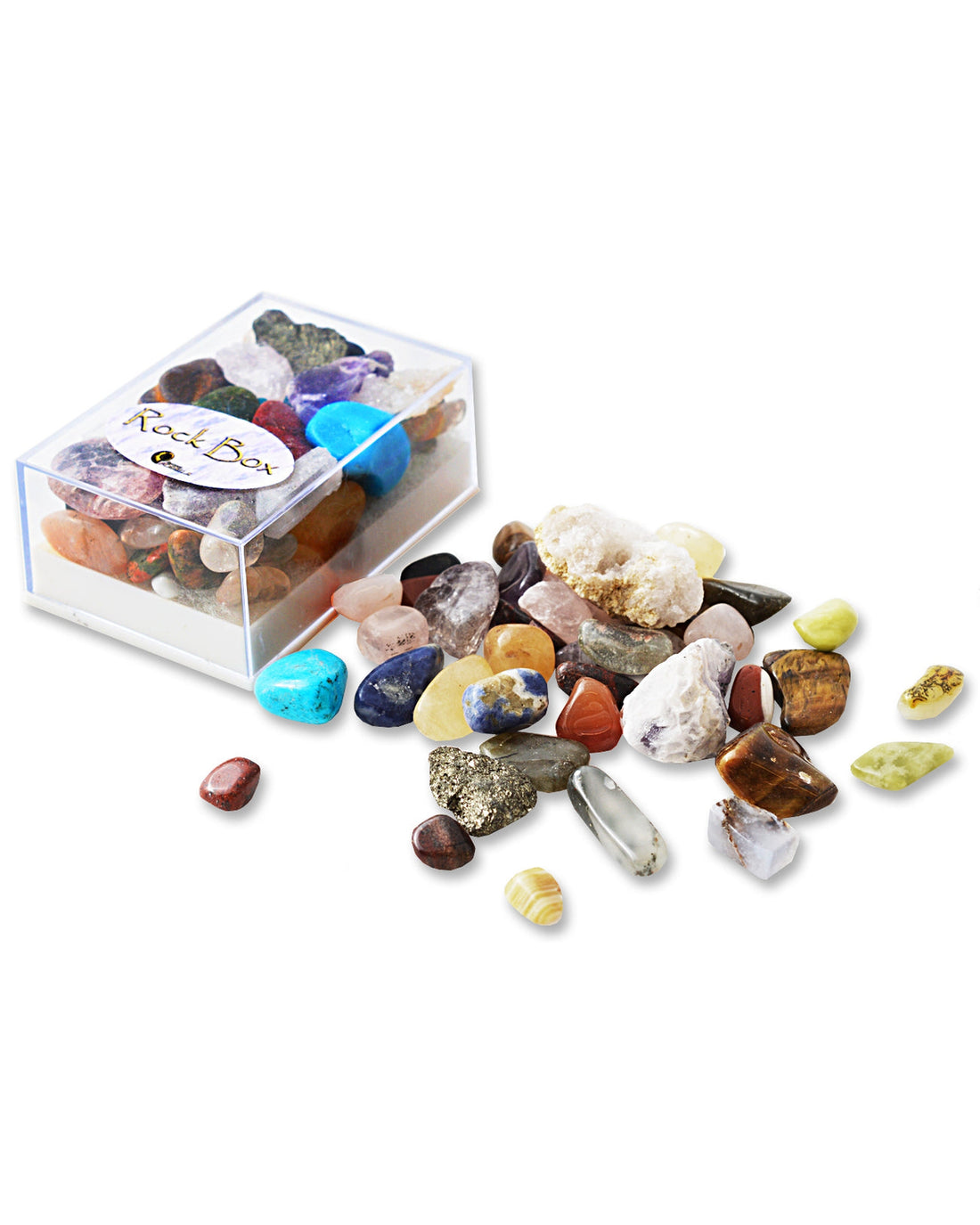 British Fossils Rock Box
