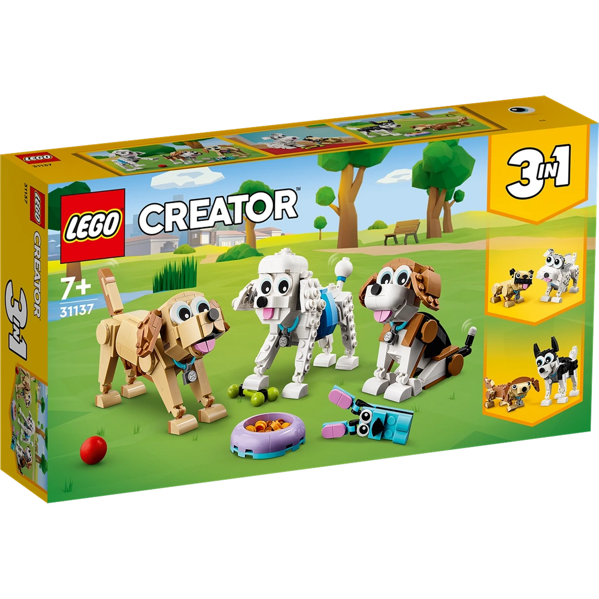 31137 Adorable dogs Kidstuff