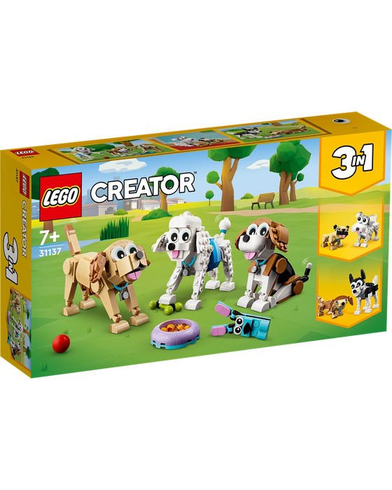 31137 Adorable dogs