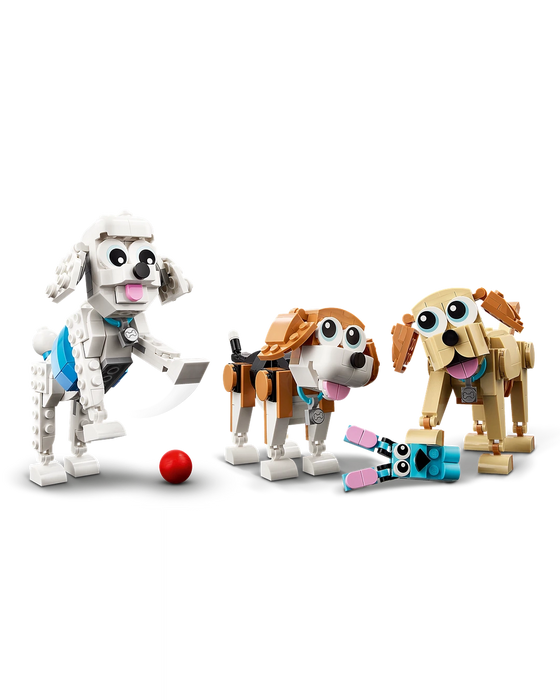 31137 Adorable dogs