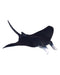 Collecta M Manta Ray