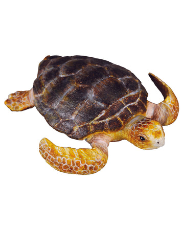 CollectA M Loggerhead Turtle