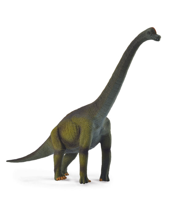 Collecta L Brachiosaurus