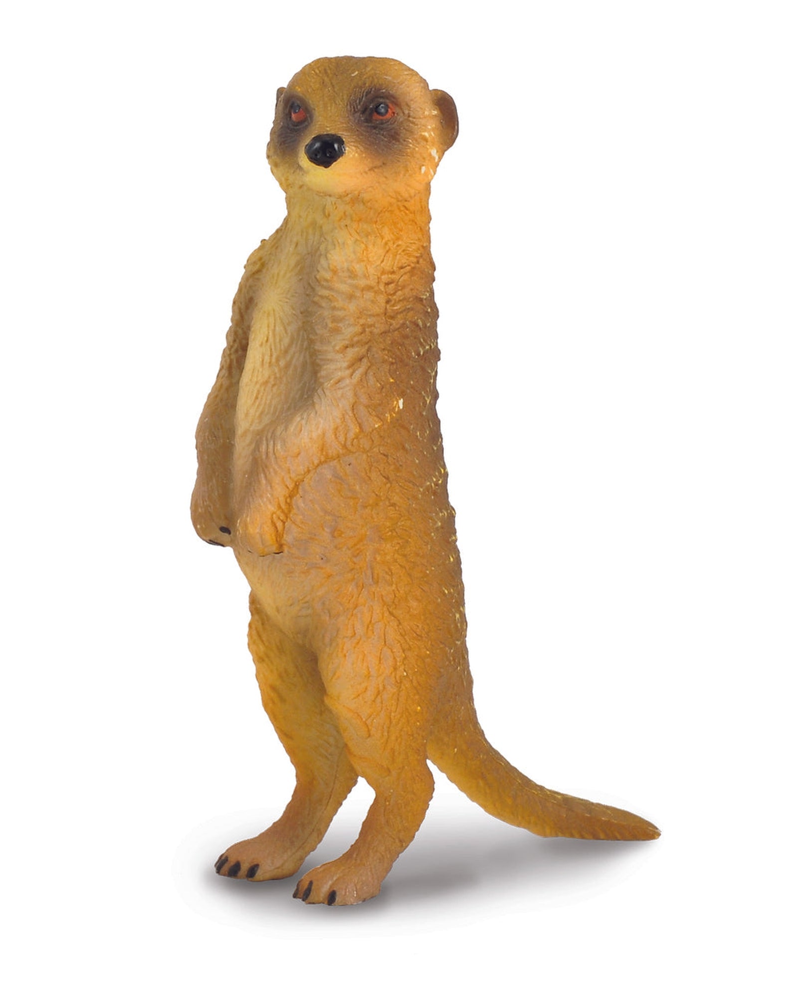 Collecta S Meerkat Standing