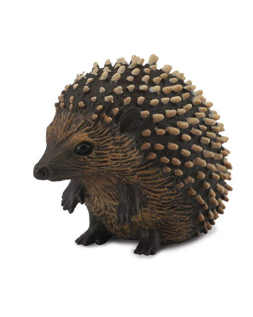 Collecta S Hedgehog
