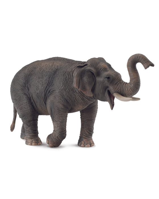Collecta XL Asian Elephant