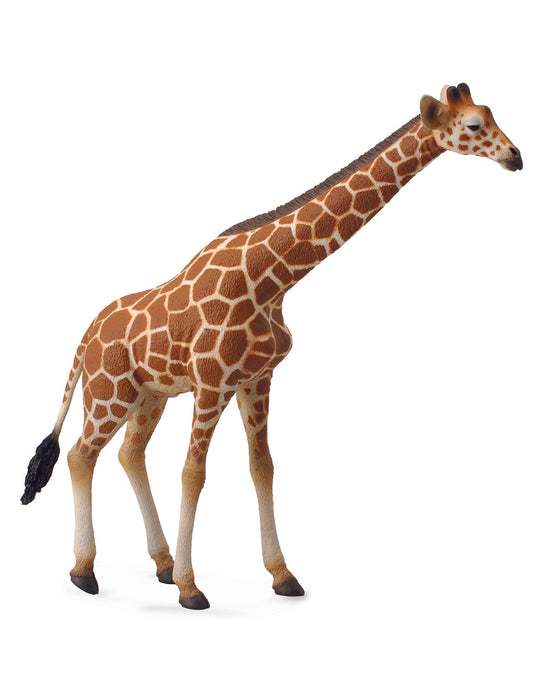 Collecta XL Reticulated Giraffe