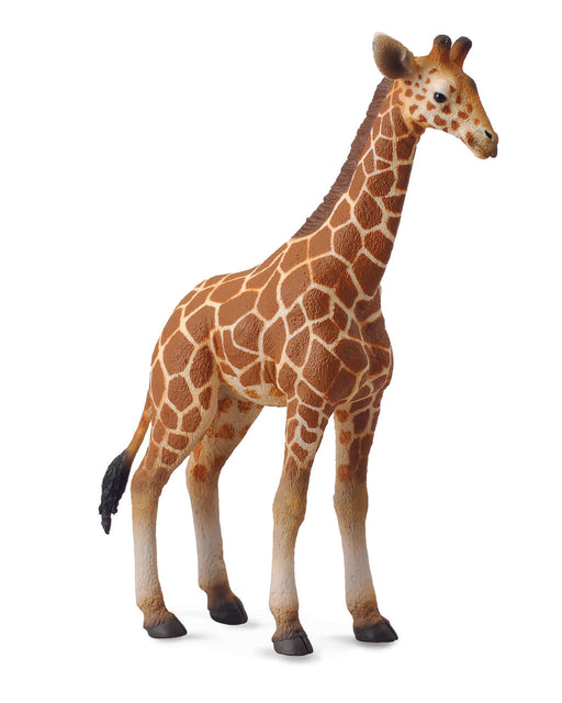 Collecta L Reticulated Giraffe Calf