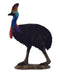 Collecta L Cassowary