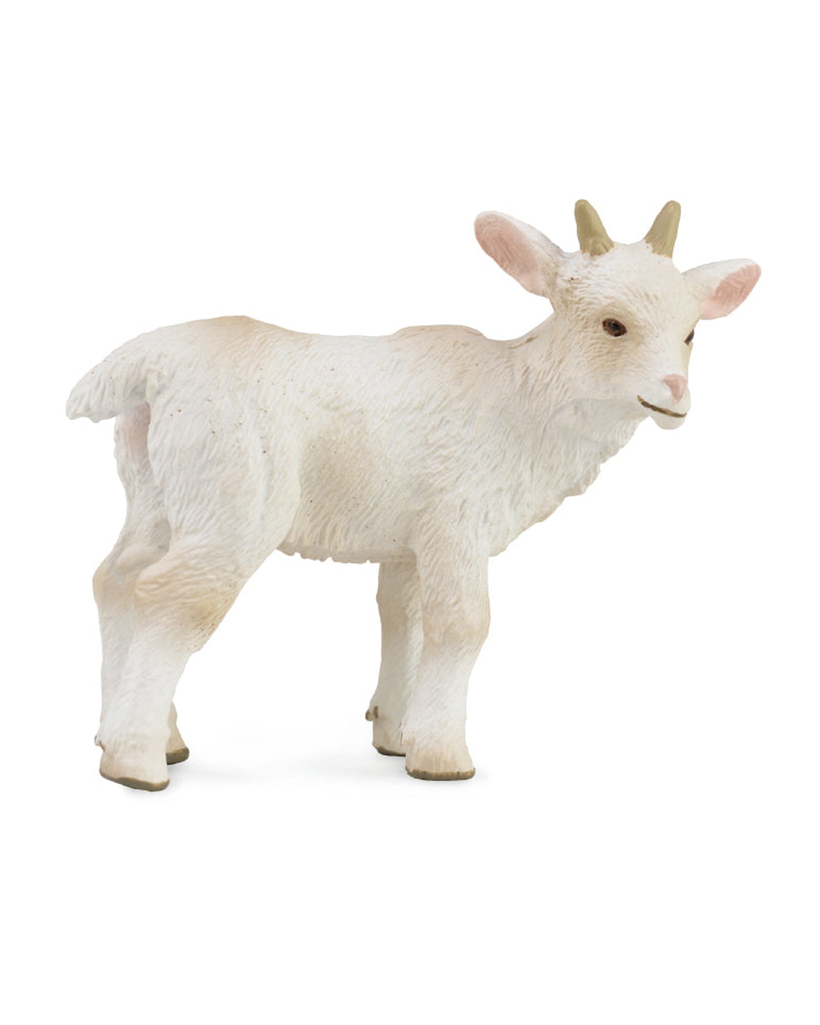 Collecta S Goat Kid Standing