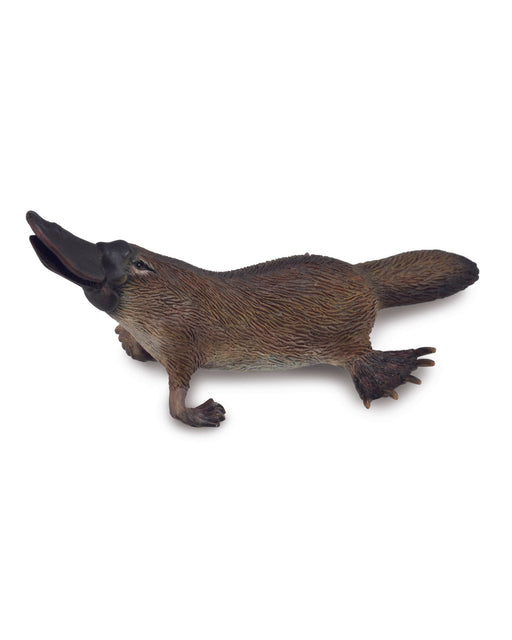 Collecta M Platypus