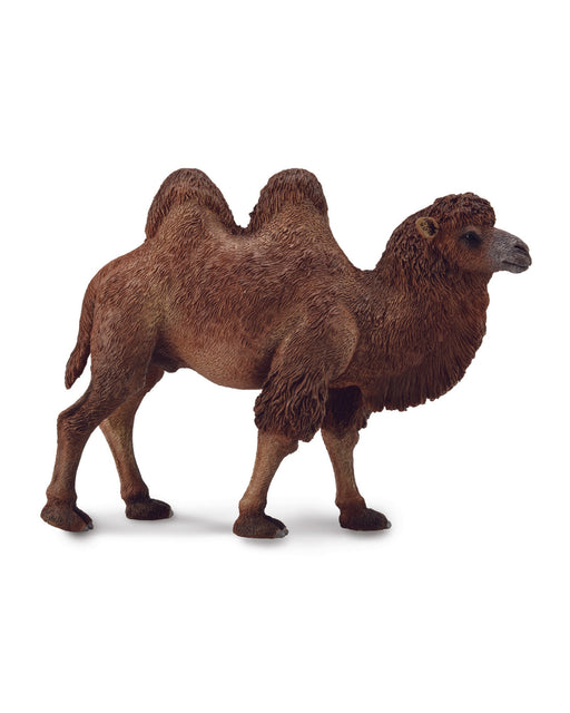 Collecta L Bactrian Camel