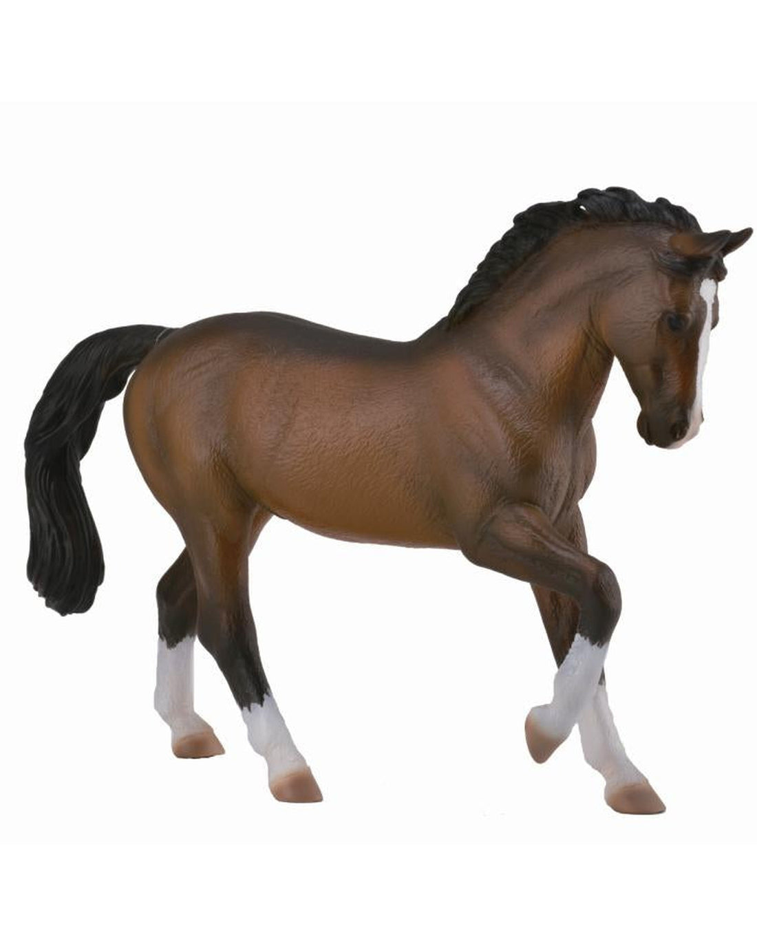 Collecta XL Warmblood Stallion Bay