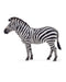 Collecta L Zebra Common