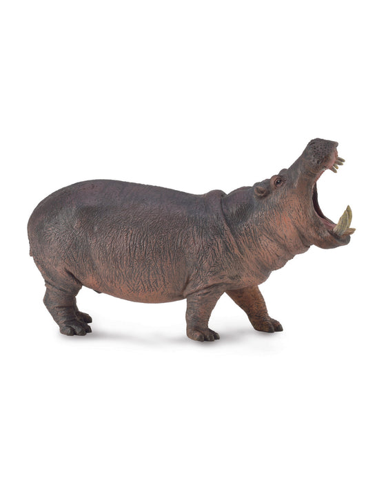 Collecta XL Hippopotamus