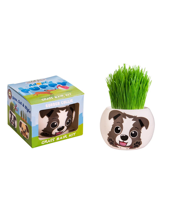 Grass Hair Kit Puppy Border Collie