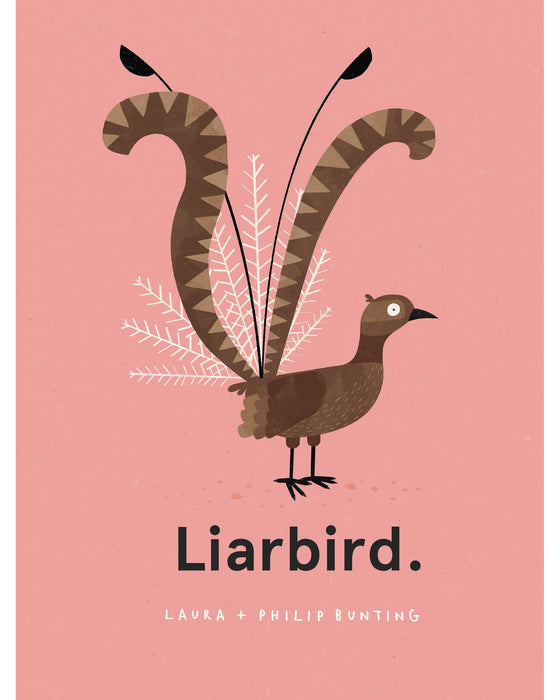 Liarbird Picture Book