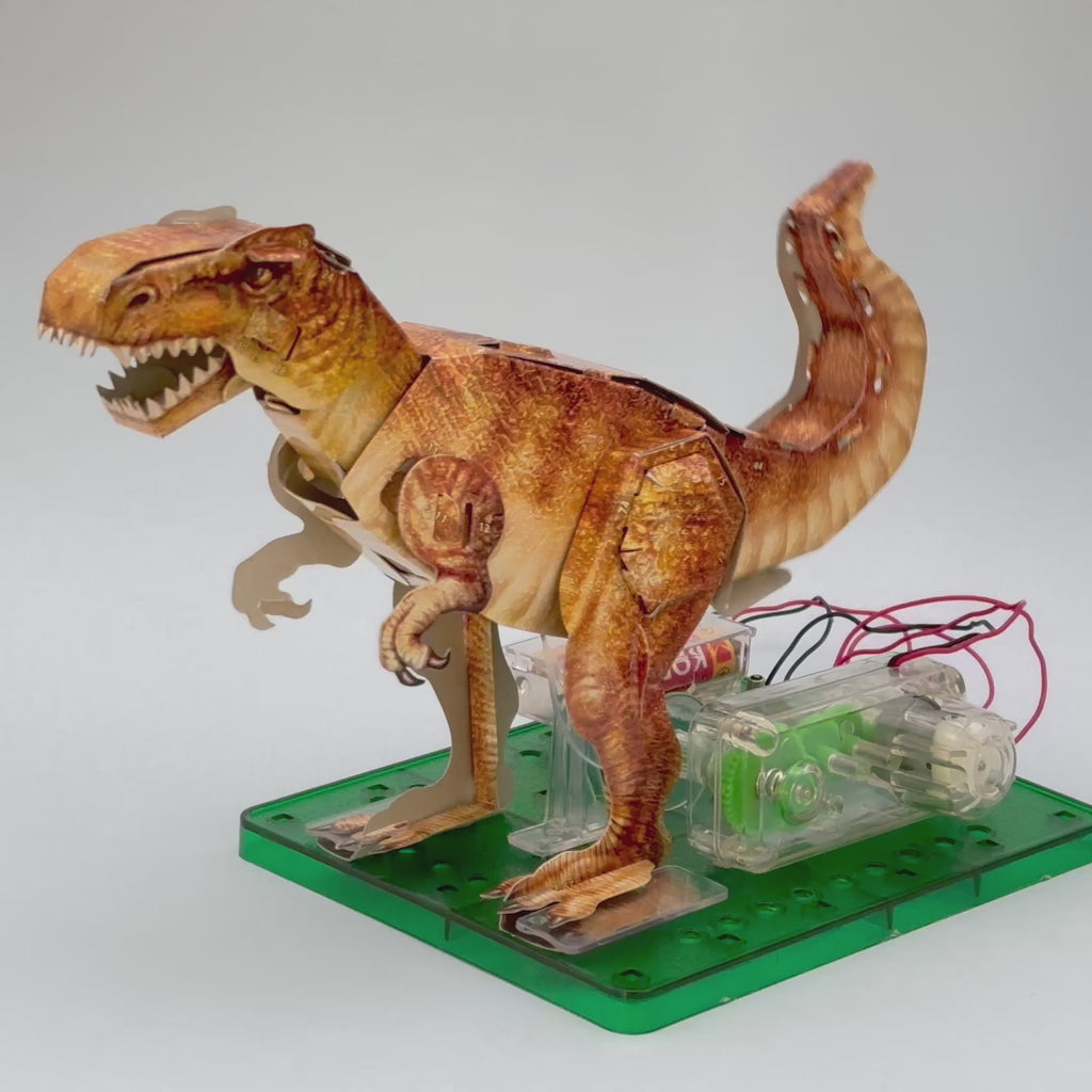 Wonderstuff 4D Science T Rex
