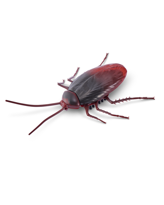 Zuru Robo Alive Glow in the Dark Cockroach