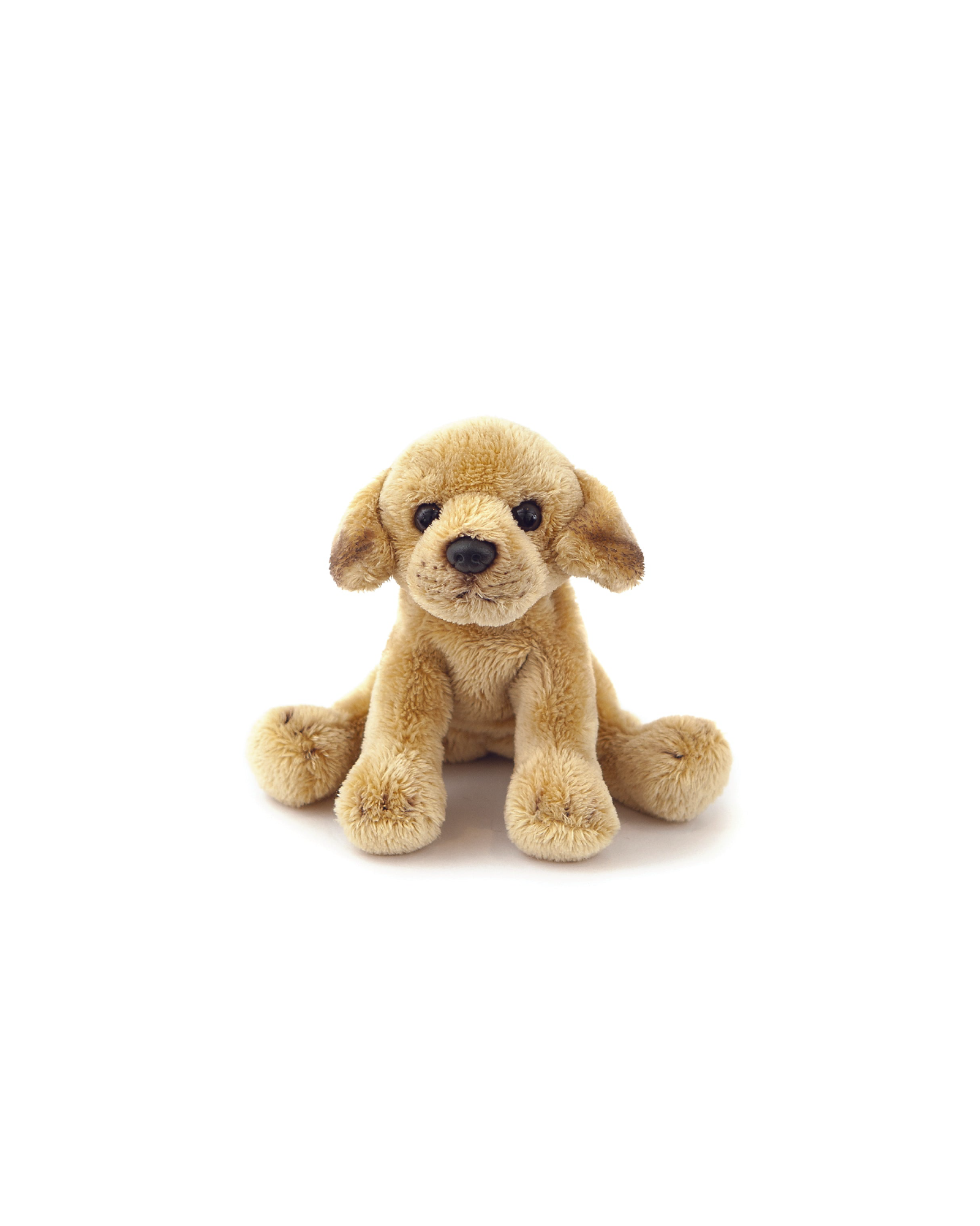 Animal Allsorts Marley Junior Labrador Small