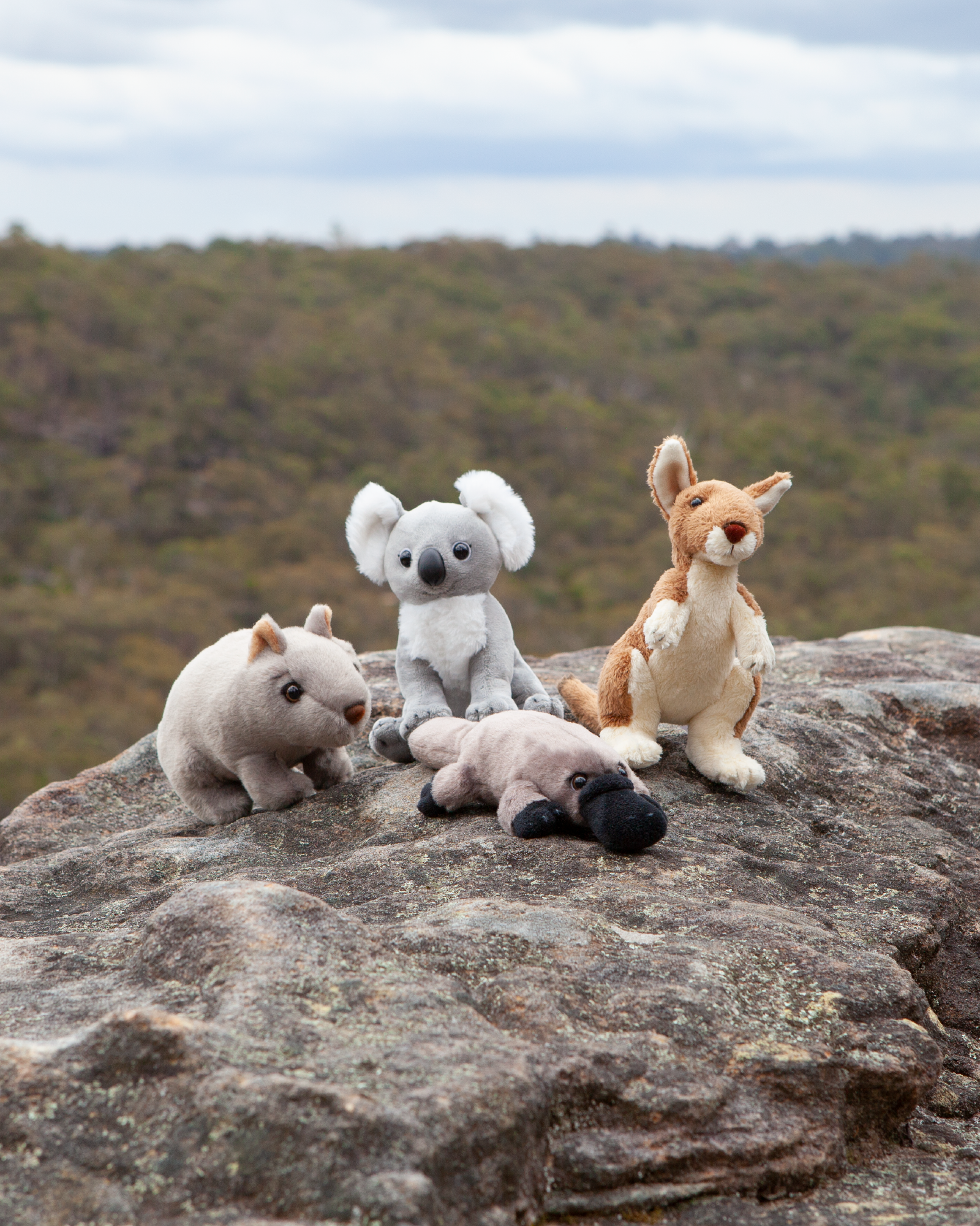 Animal Allsorts Wally the Wombat Small
