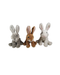 Animal Allsorts Little Bunny - Assorted
