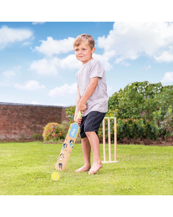 Bluey Cricket Set