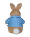 Peter Rabbit 25cm Plush