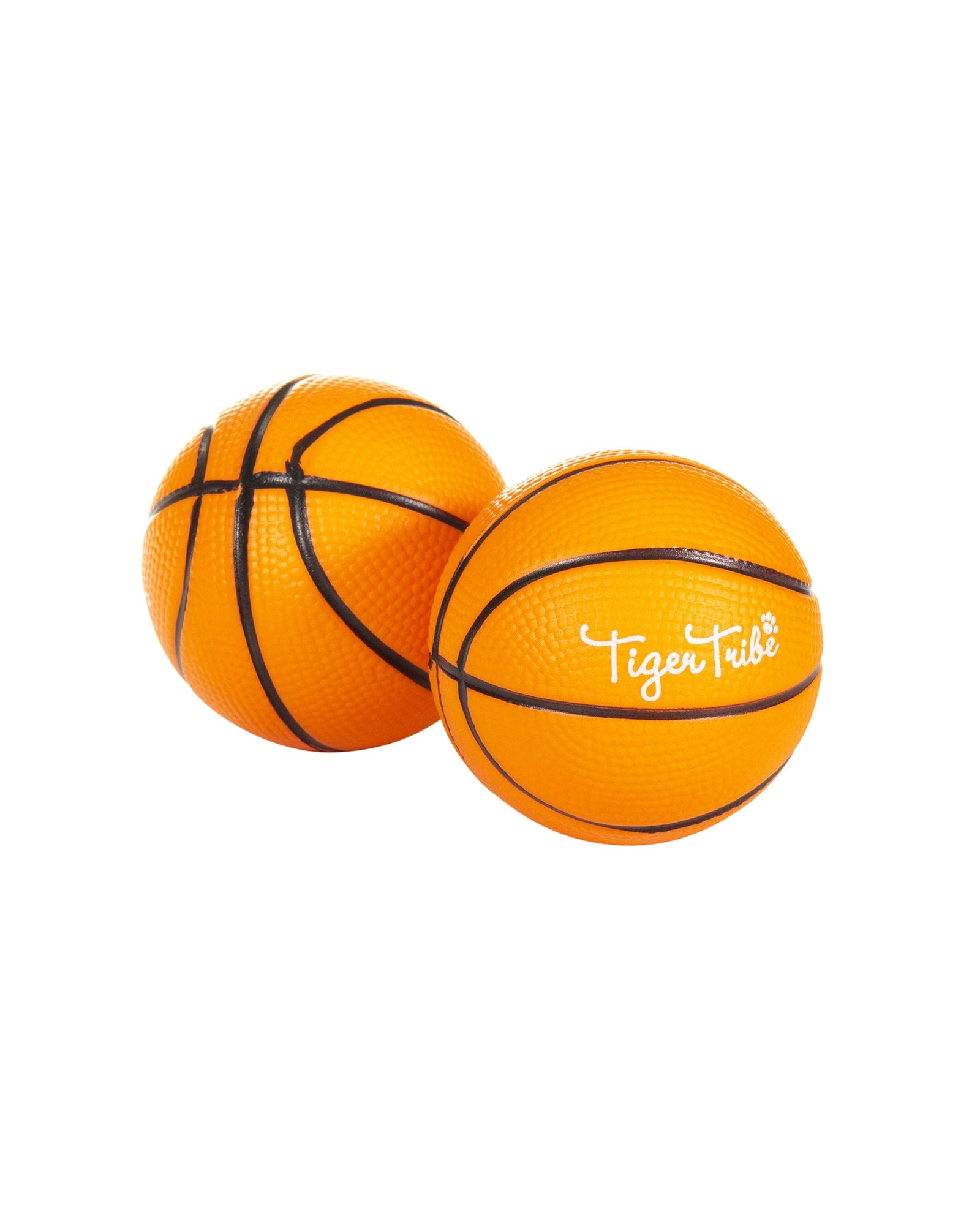 Tiger Tribe Bath BallDunk Time