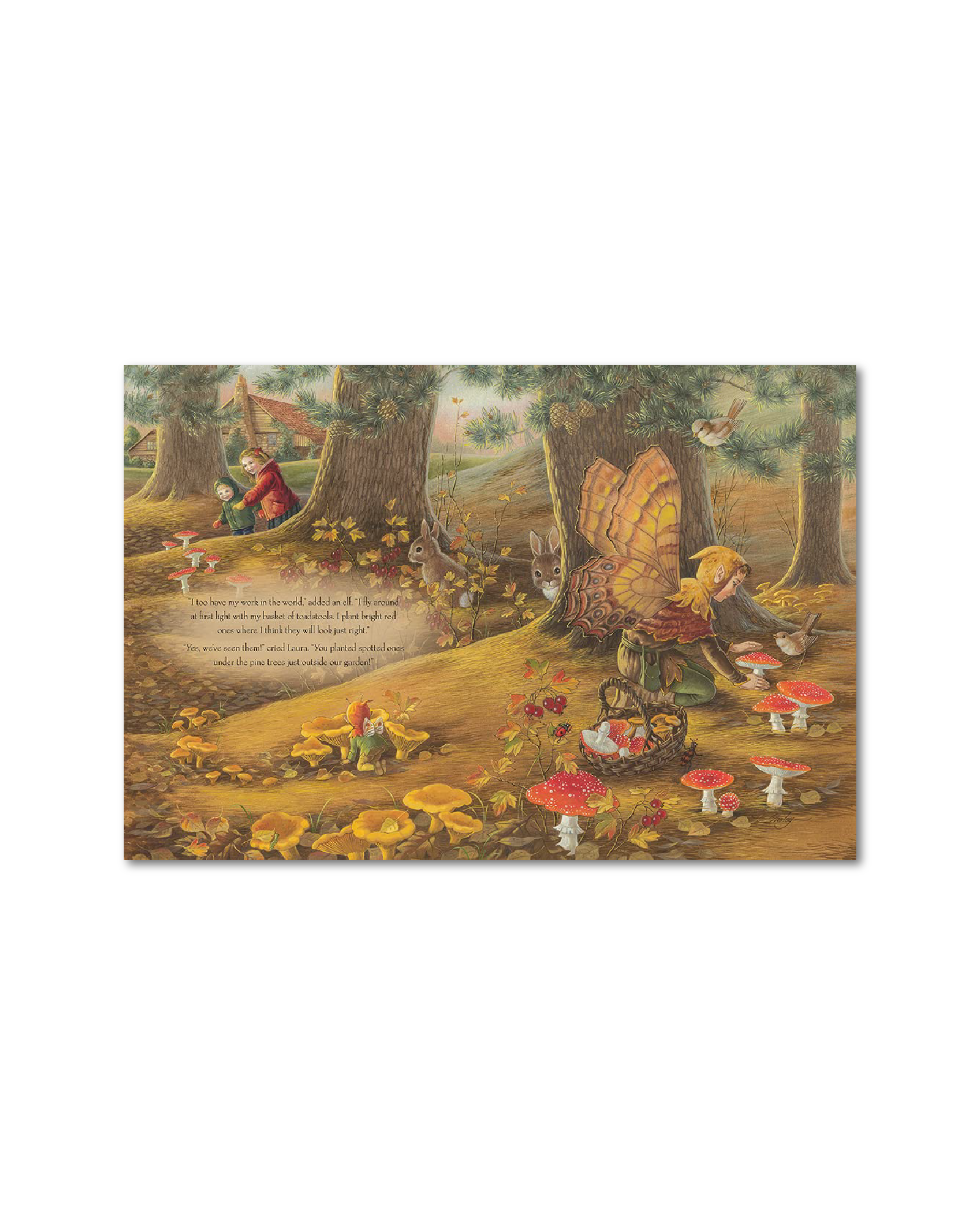 A Visit to Fairyland Lenticular Edition Hardback