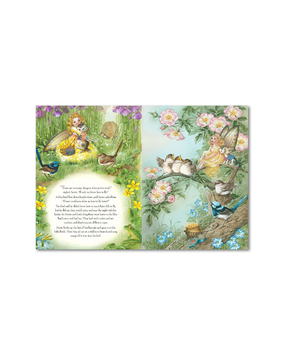 Rainbow Magic Hardback