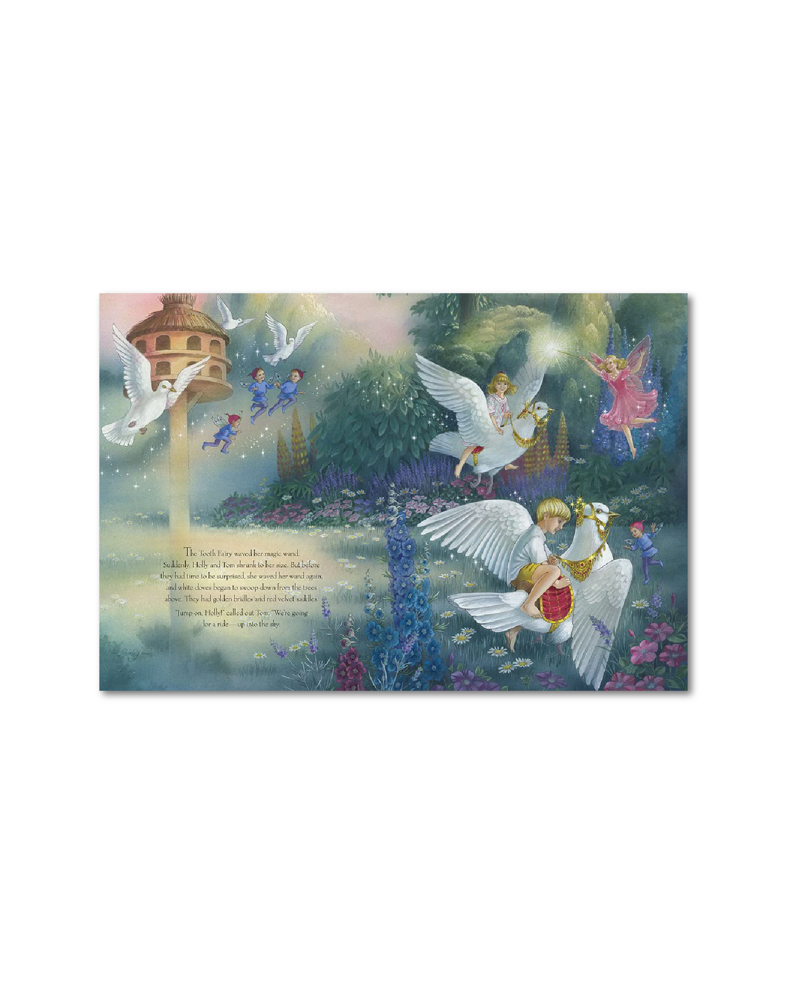 The Tooth Fairy Hardback