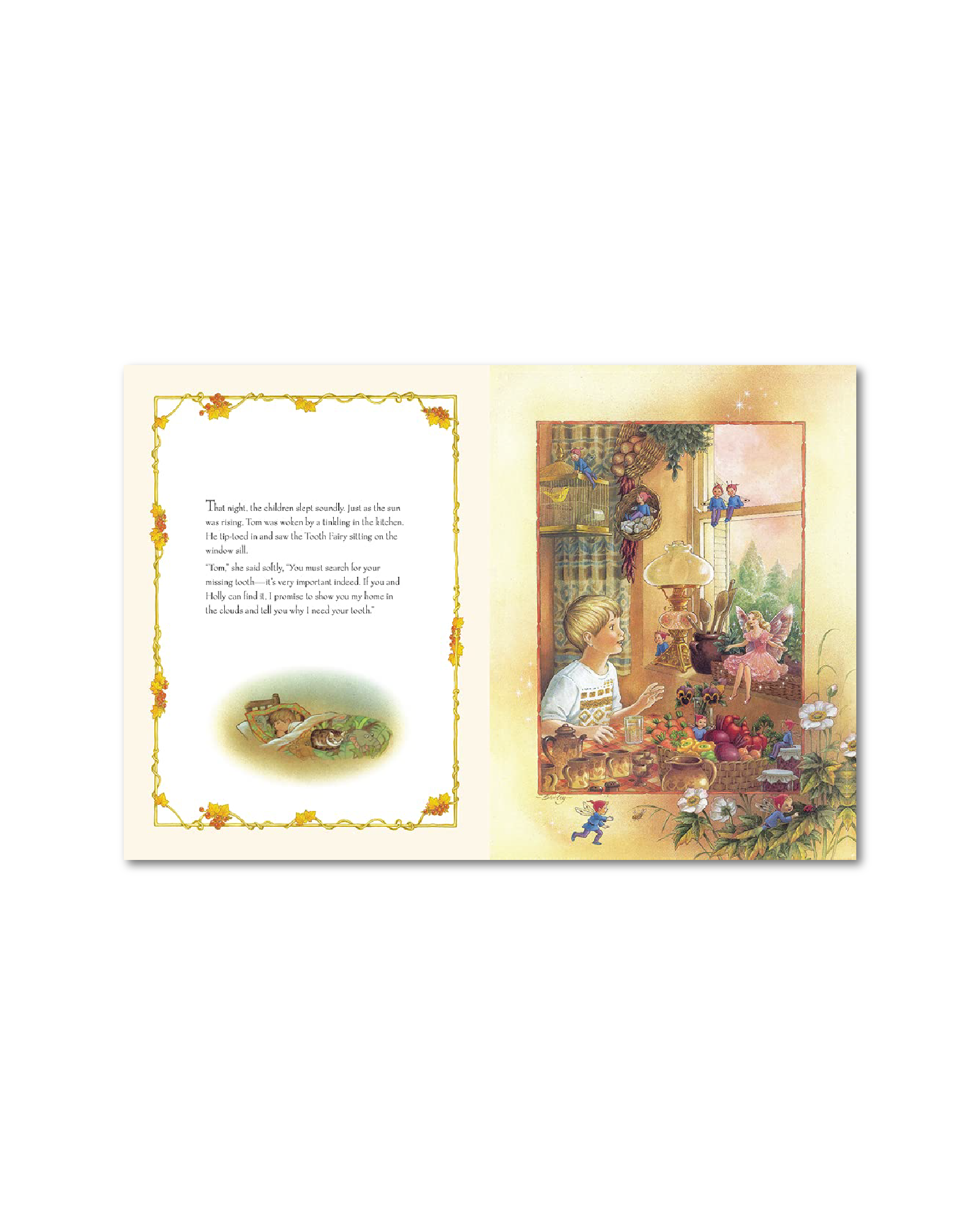 The Tooth Fairy Hardback