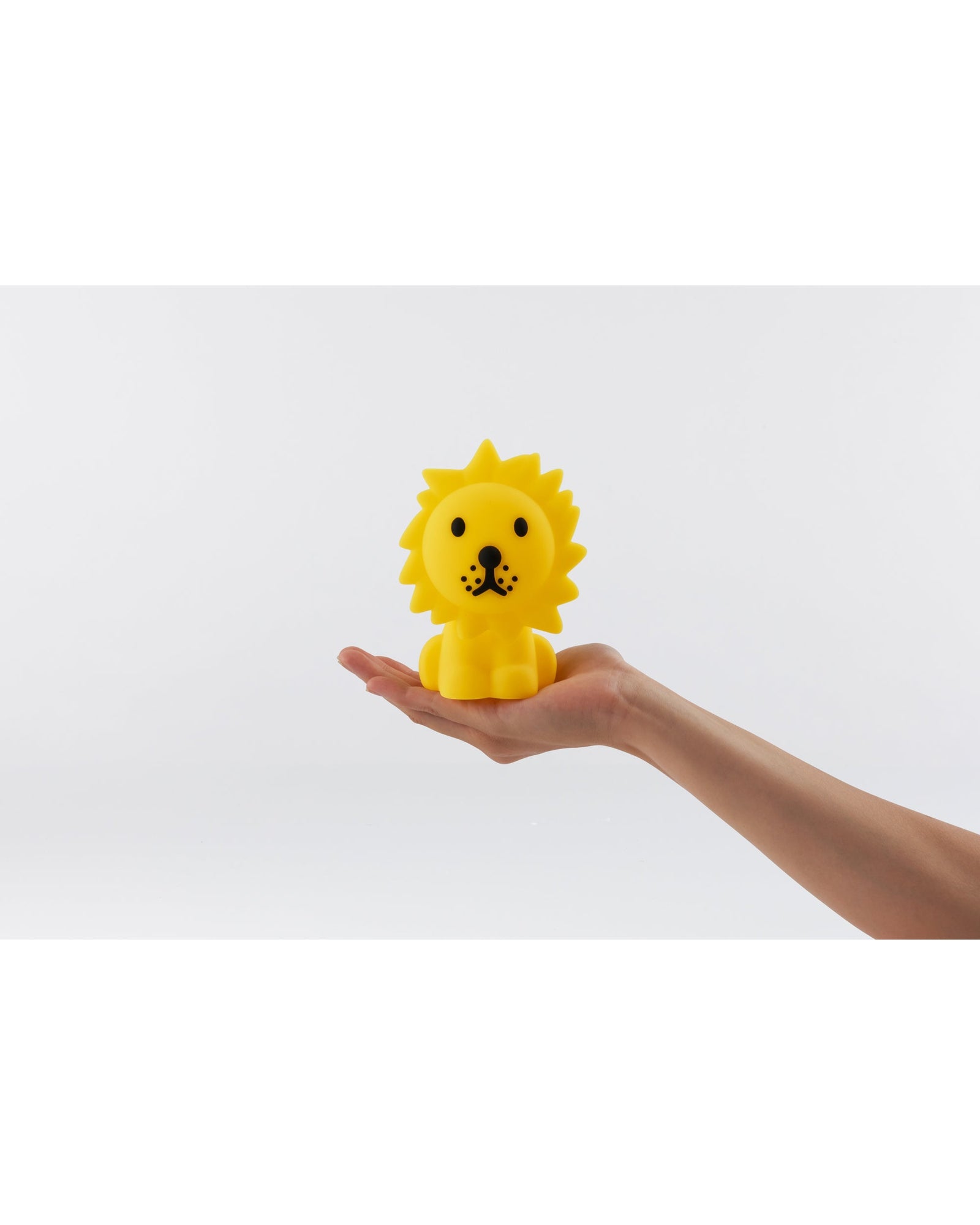 Lion Bundle of Light
